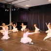 Auftritt des Balletts (2)